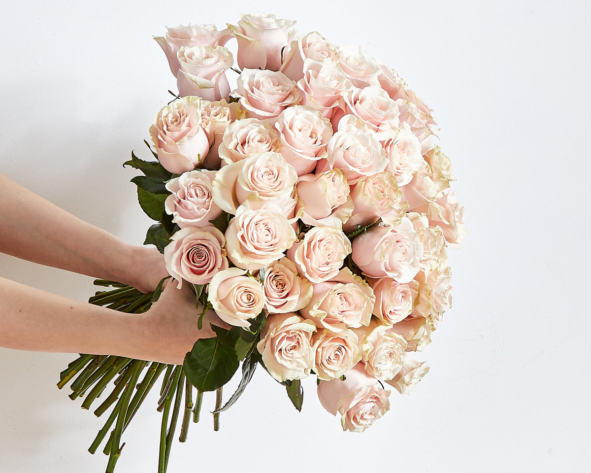 Pink white deals roses