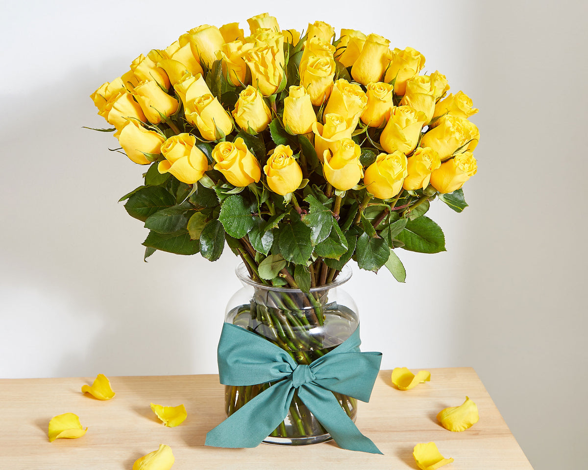 50 beautiful long stem yellow roses Roses Only UK