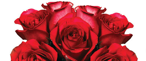 Anniversary Gift Ideas for the Romantic