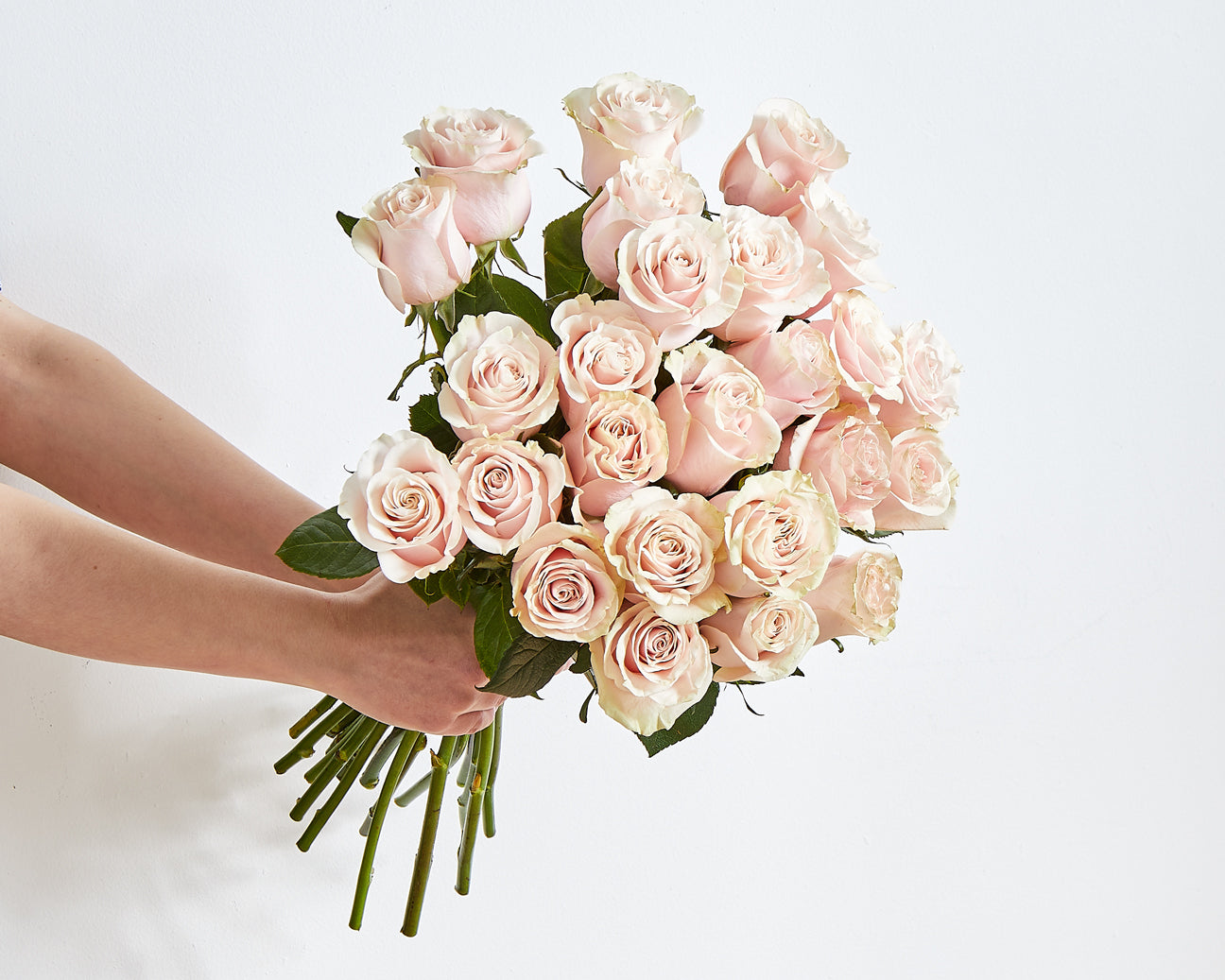 Long Stemmed Pink Roses