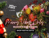 Christmas 2025 Web Banner
