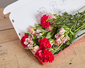 The You're Sensational Letterbox Bouquet