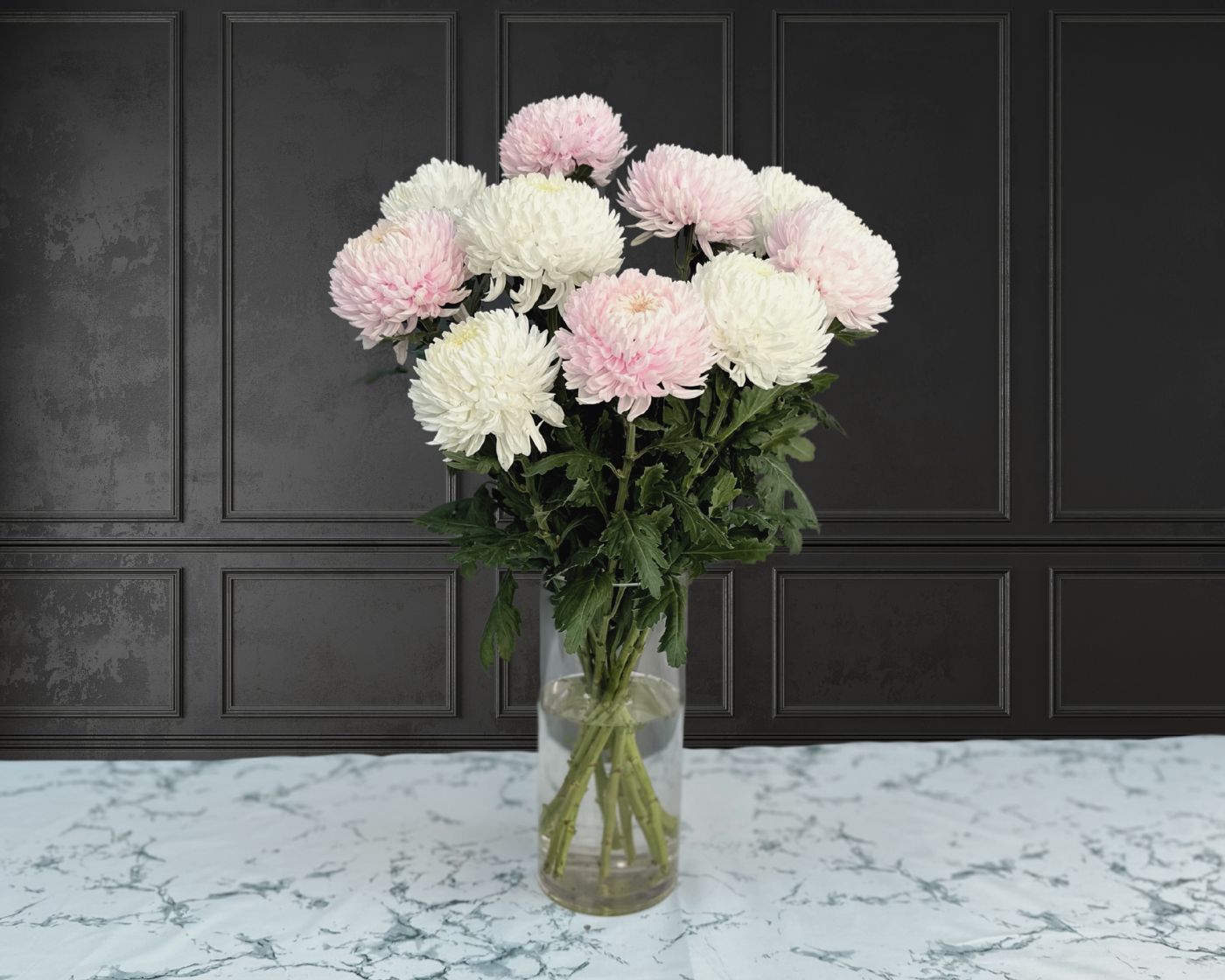 Chrysanthemum Delight