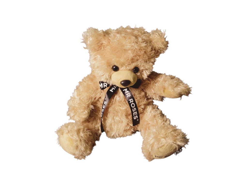 Mr Roses Teddy