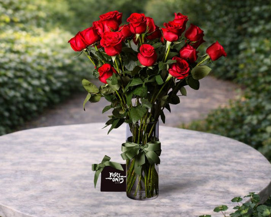 valentines-day_red-roses