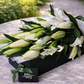 white lilies in gift box