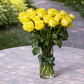 yellow long stemmed rose in a vase