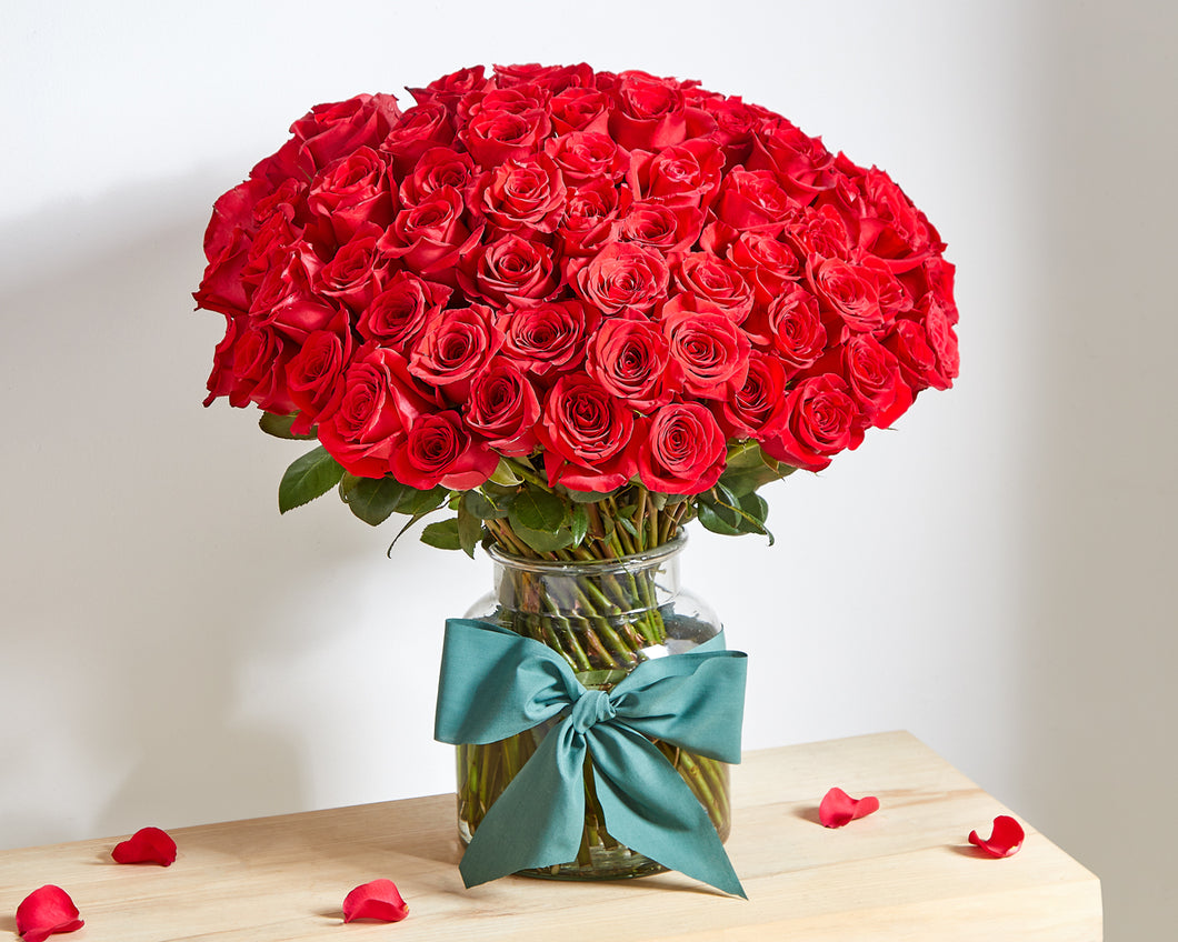 100 Red Roses  Roses Only UK