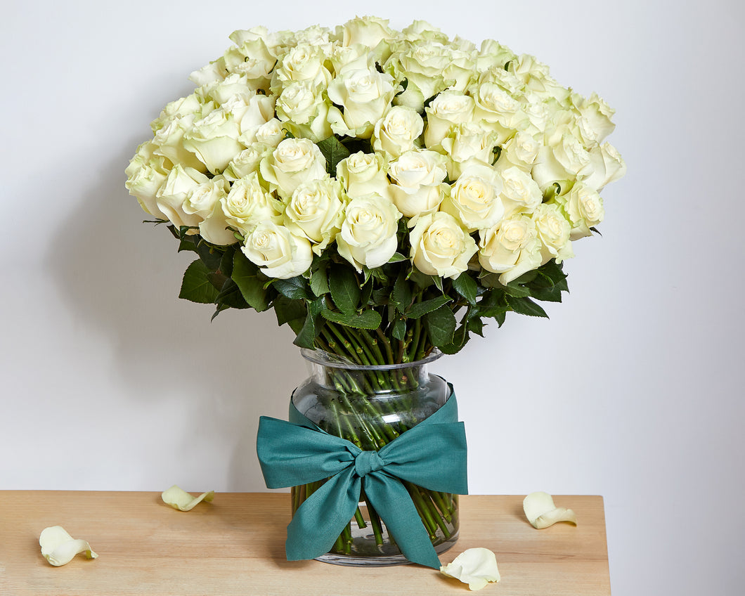 100 White Roses