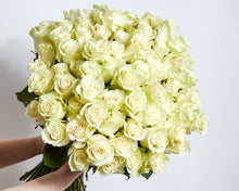 100 White Roses