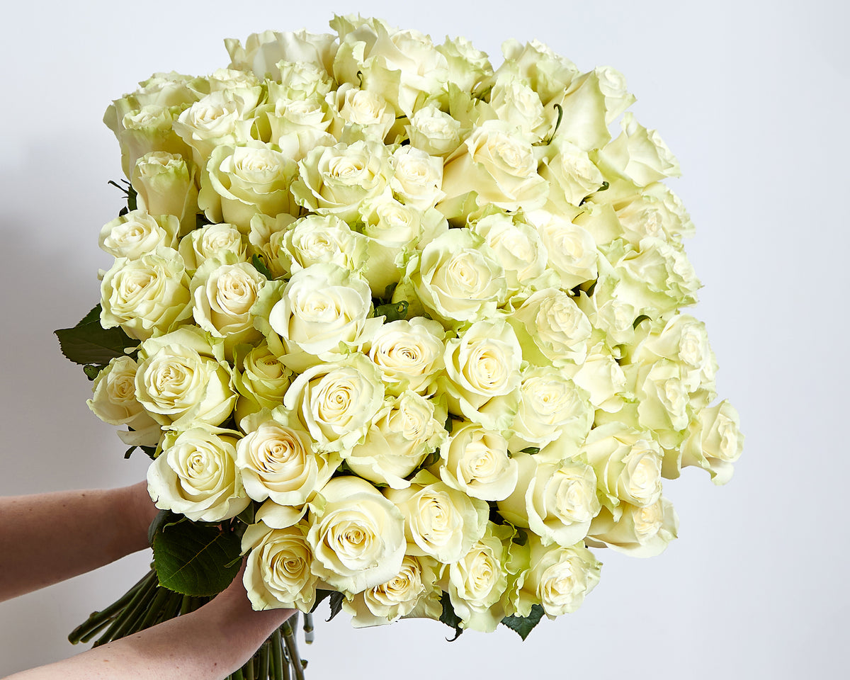 100 White Roses Roses Only UK