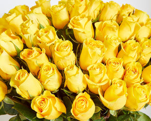 100 Yellow Roses, Chocolates, Bear & Veuve