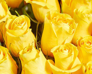 100 Yellow Roses