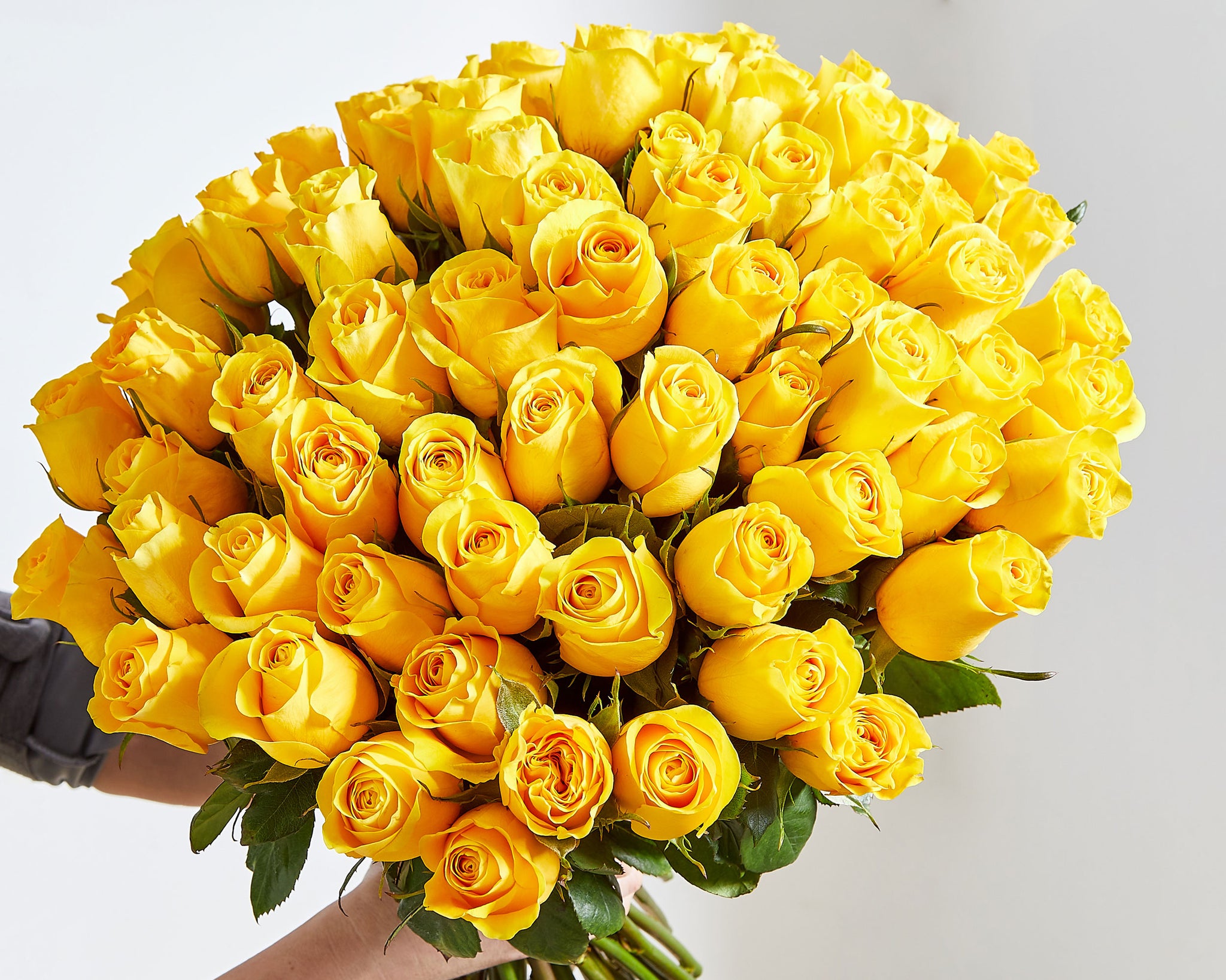 100 Yellow Roses | Roses Only UK