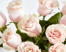 12 Pink Roses & Moët