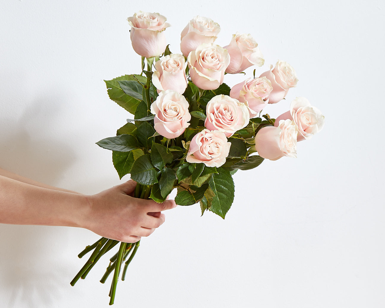 Long Stemmed Pink Roses