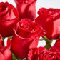 12 Red Roses