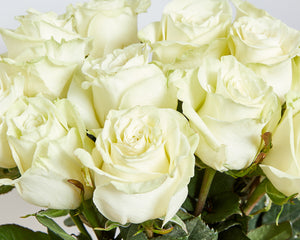 12 White Roses & Chocolates