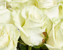 12 White Roses & Moët