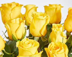 12 Yellow Roses & Moët