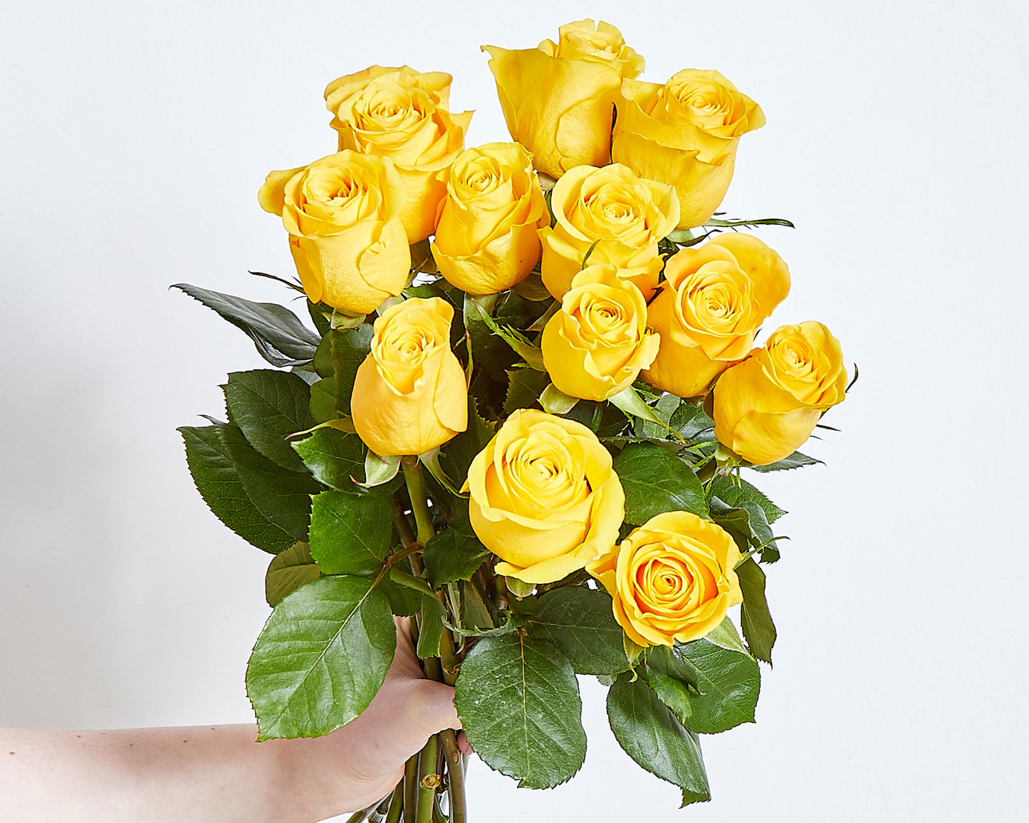 Long Stemmed Yellow Roses