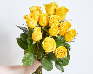 12 Yellow Roses & Moët
