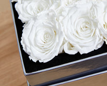 16 White/Cream Infinity Preserved Roses