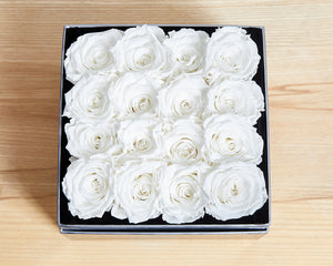 16 White Cream Infinity Preserved Roses