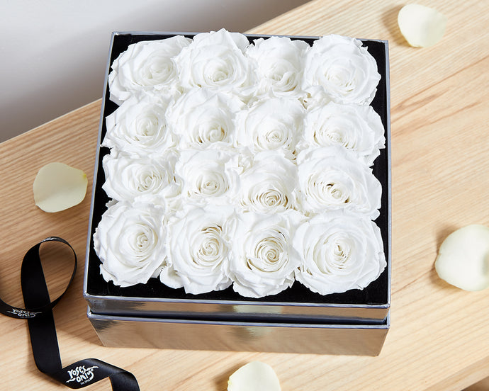 16 White Cream Infinity Preserved Roses
