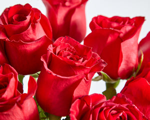 24 Red Roses & Rosé wine