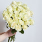 Long Stemmed White Roses