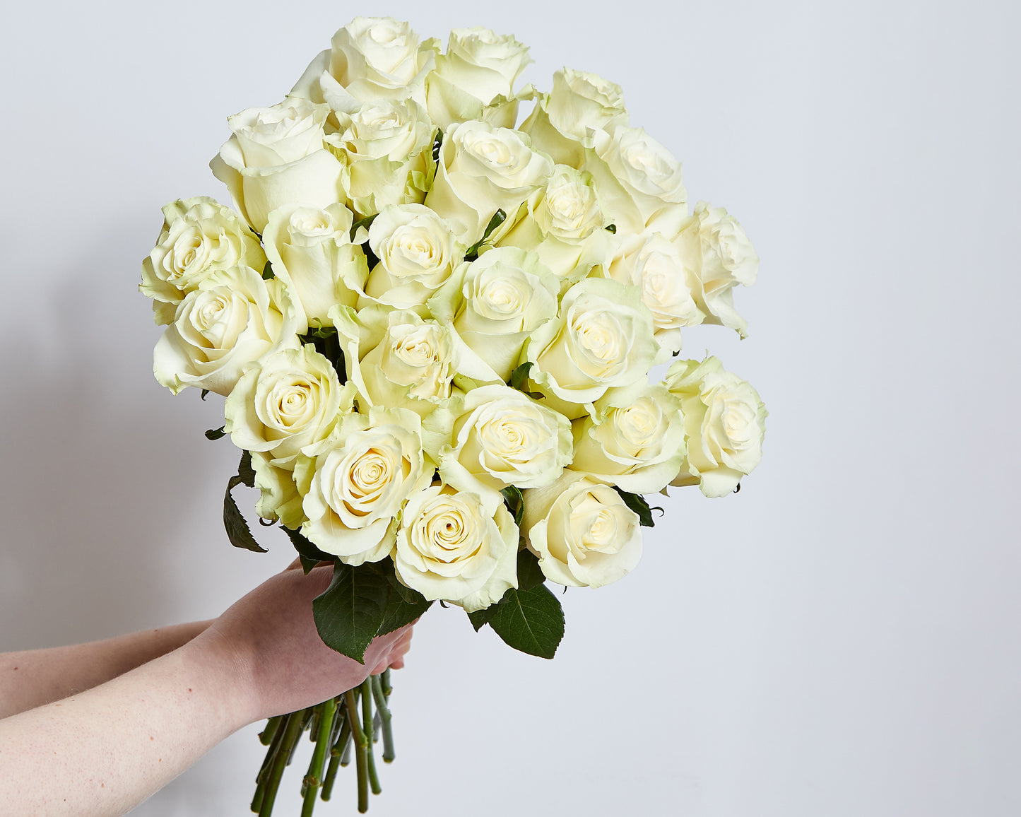 Long Stemmed White Roses