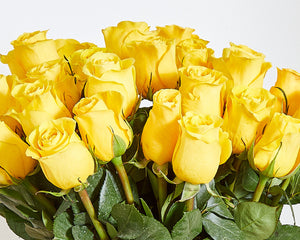 24 Yellow Roses