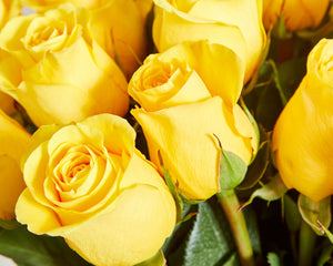 24 Yellow Roses