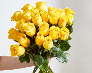 24 Yellow Roses