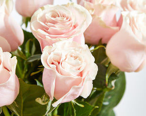 50 Pink Roses & Veuve