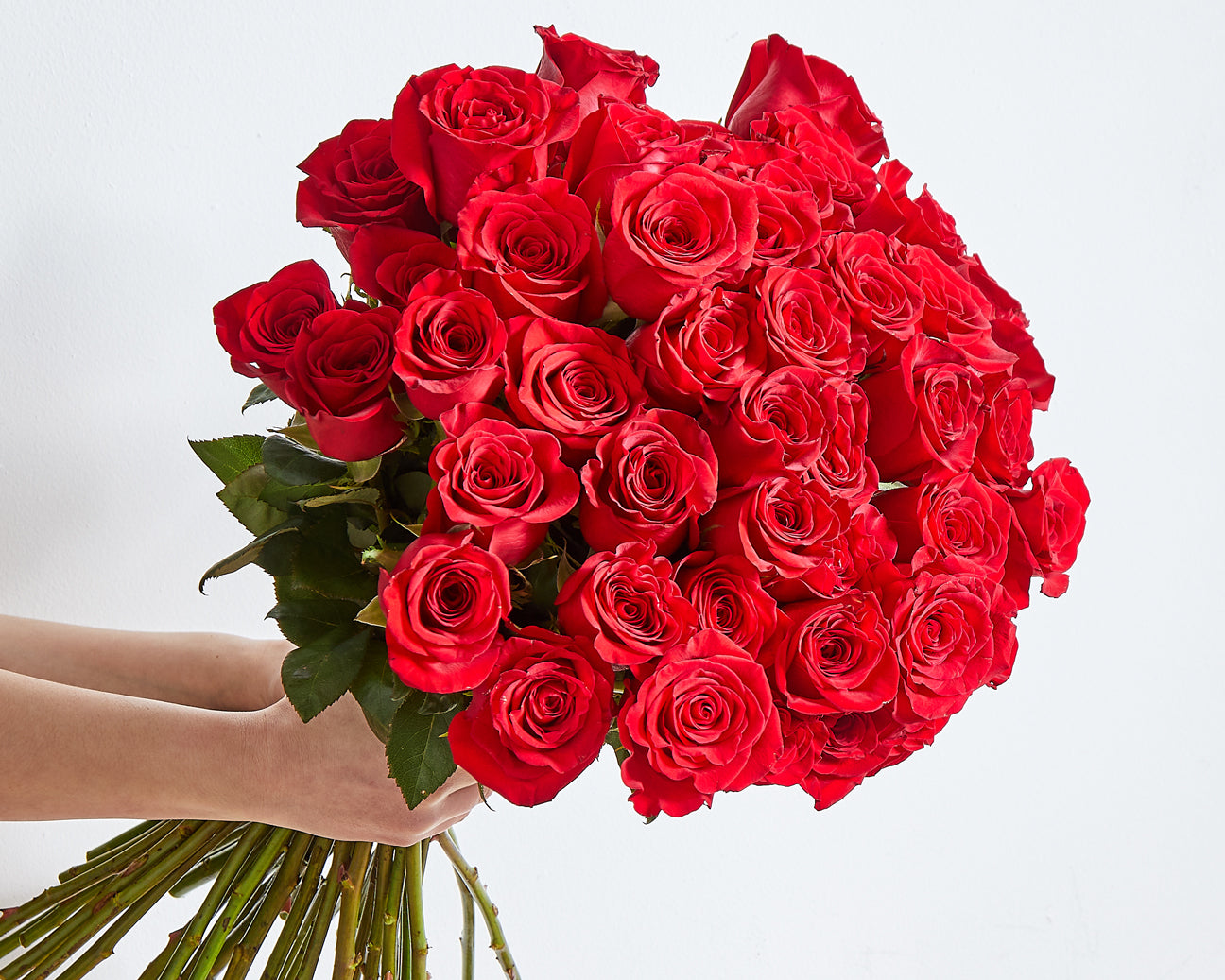 Long Stemmed Red Roses