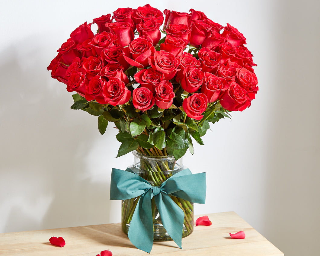 50 long-stemmed Red Roses | Roses Only UK