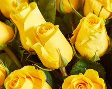 50 Yellow Roses, Chocolates & Moet