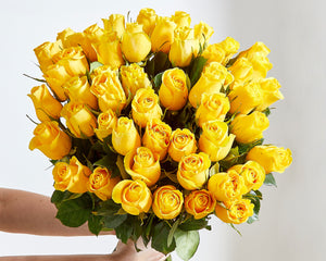 50 Yellow Roses
