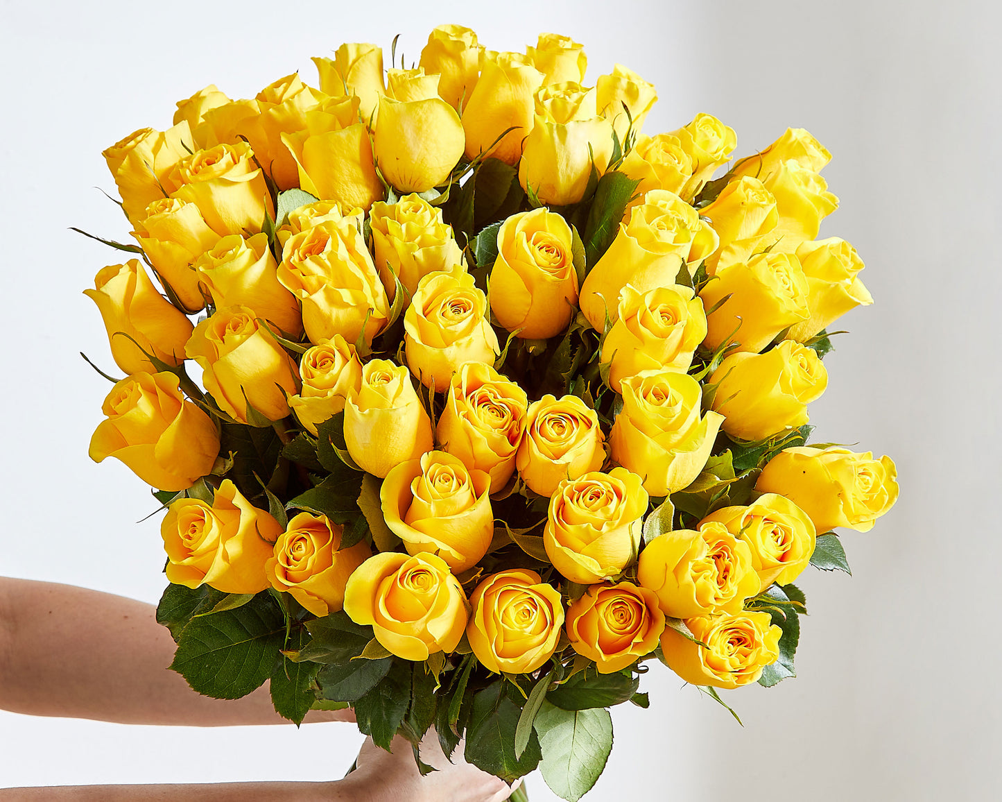 Long Stemmed Yellow Roses
