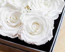 9 White Cream Infinity Preserved Roses