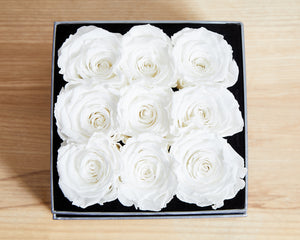 9 White Cream Infinity Preserved Roses