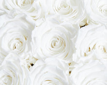 9 White Cream Infinity Preserved Roses