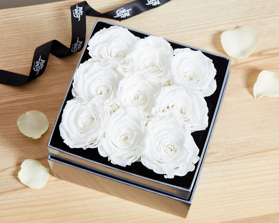 9 White Cream Infinity Preserved Roses
